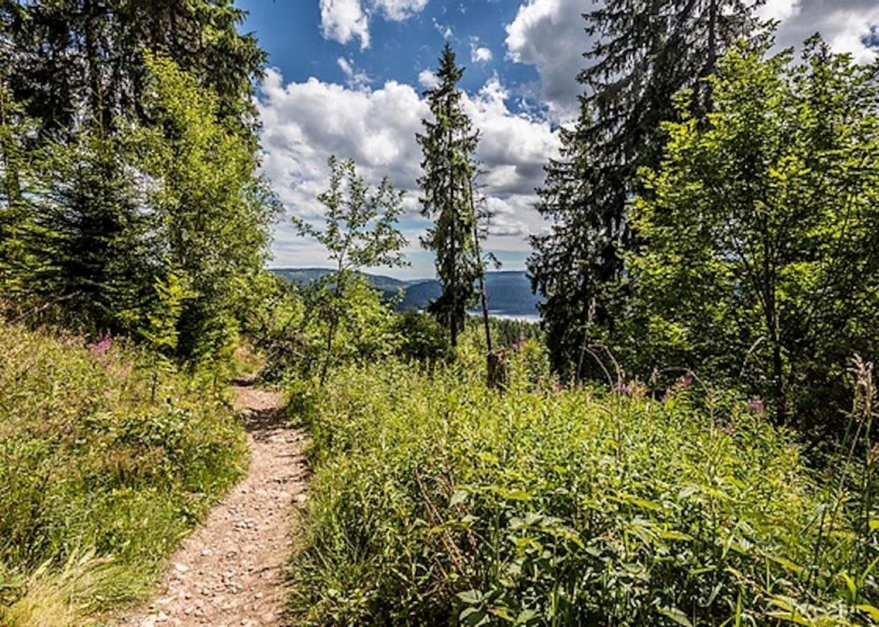 A La Chapelle Titisee Eksteriør bilde